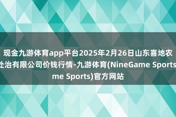 现金九游体育app平台2025年2月26日山东喜地农产物市集处治有限公司价钱行情-九游体育(NineGame Sports)官方网站