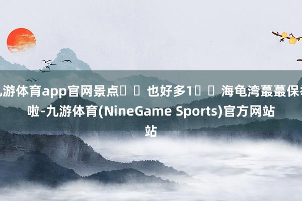 九游体育app官网景点✌️也好多1️⃣海龟湾蕞蕞保举啦-九游体育(NineGame Sports)官方网站