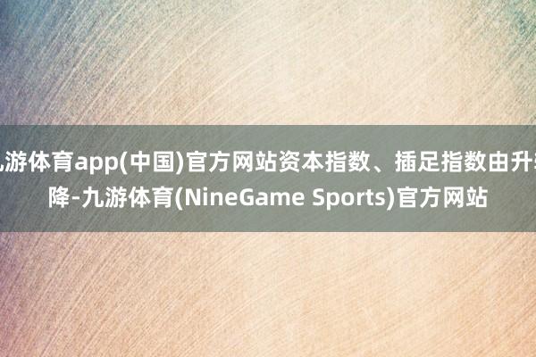 九游体育app(中国)官方网站资本指数、插足指数由升转降-九游体育(NineGame Sports)官方网站