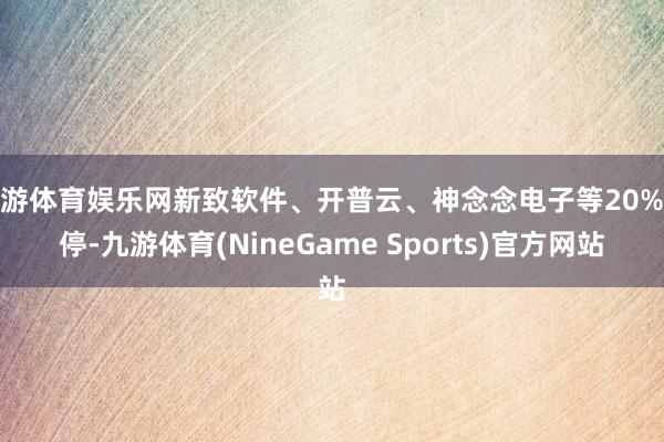 九游体育娱乐网新致软件、开普云、神念念电子等20%涨停-九游体育(NineGame Sports)官方网站