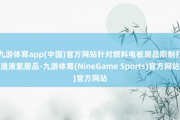 九游体育app(中国)官方网站针对燃料电板居品限制打造液氢居品-九游体育(NineGame Sports)官方网站