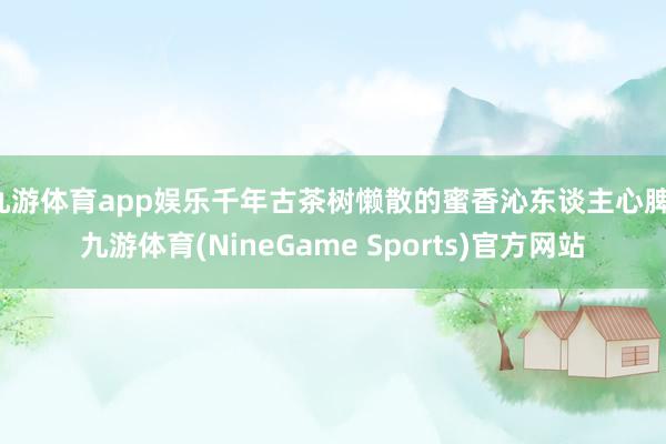 九游体育app娱乐千年古茶树懒散的蜜香沁东谈主心脾-九游体育(NineGame Sports)官方网站